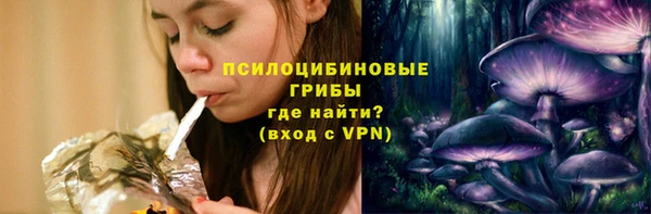 MESCALINE Аркадак