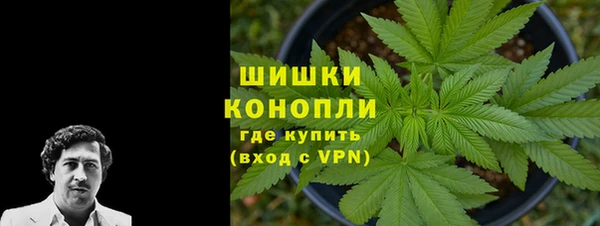 MESCALINE Аркадак