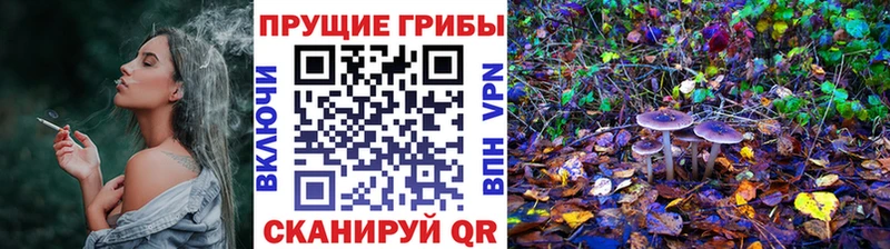 Псилоцибиновые грибы Magic Shrooms  Севск 